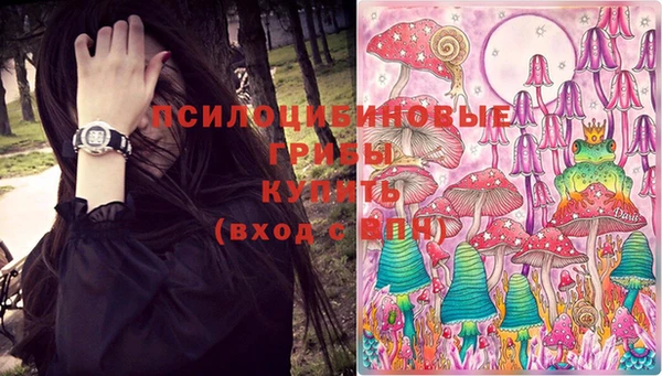 стафф Алзамай