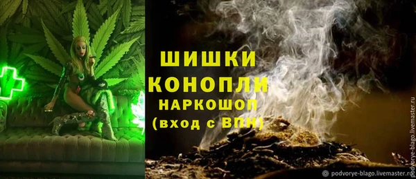 соль ск Алексин