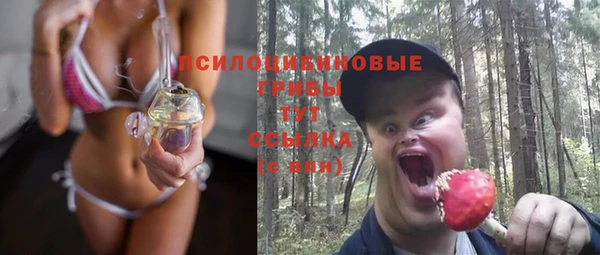 соль ск Алексин